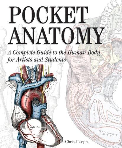 Pocket Anatomy