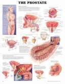The Prostate Chart