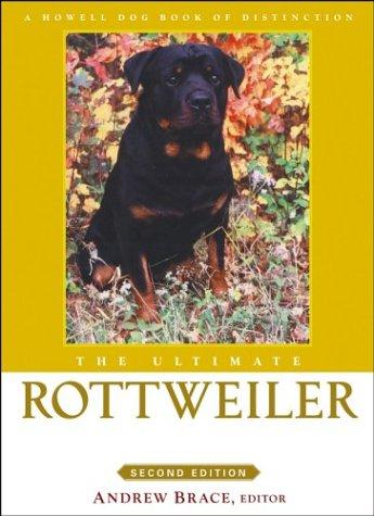 The ultimate Rottweiler