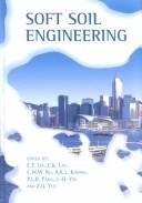 Soft Soil Engineering