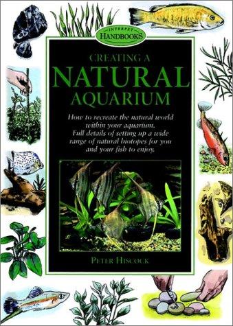 Creating a natural aquarium