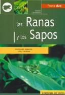 Las Ranas y Los Sapos