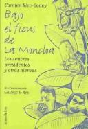 Bajo El Ficus De LA Moncloa