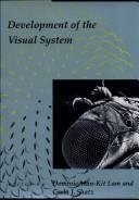 Development of the visual system