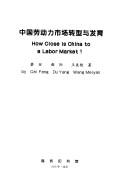 Zhongguo lao dong li shi chang zhuan xing yu fa yu