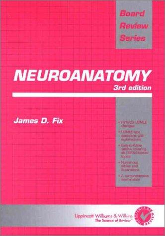 Neuroanatomy