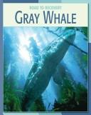 Gray whale