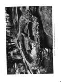 The Roman villa site at Keston, Kent