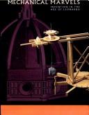 Renaissance engineers