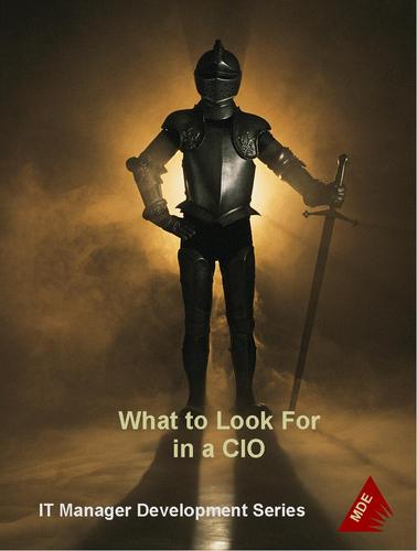 What To Look For in a CIO