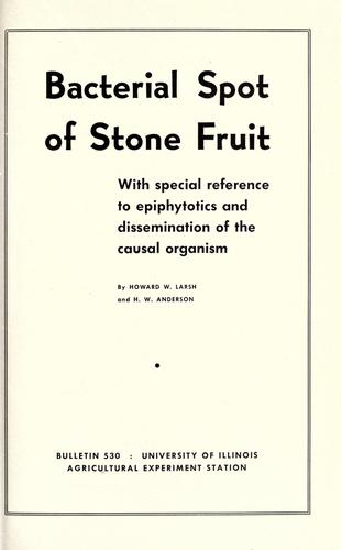 Bacterial spot of stone fruit with special reference to epiphytotics and dissemination of the causal organism
