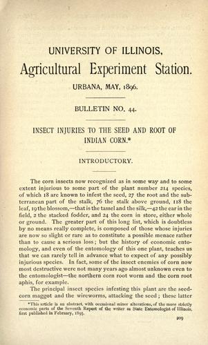 Insect injuries to the seed and root of Indian corn