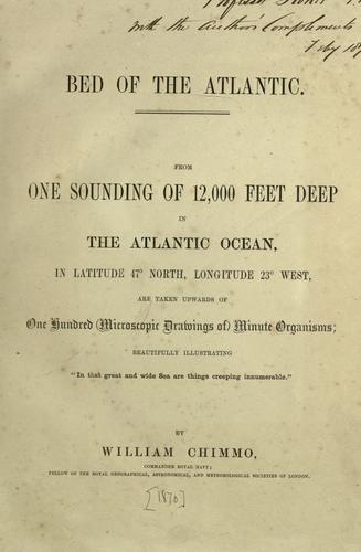 Bed of the Atlantic
