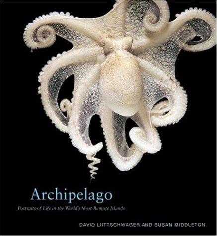 Archipelago
