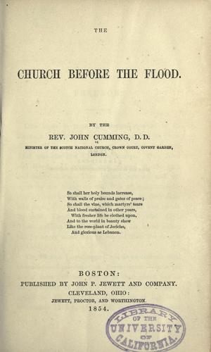 The church before the flood