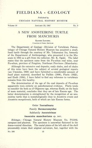 A new anosteirine turtle from Manchuria