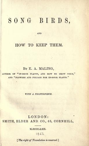 Song birds, and how to keep them