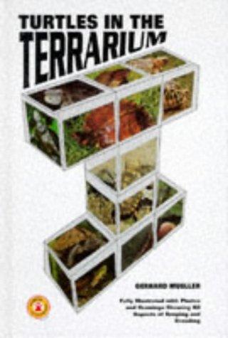 Turtles in the terrarium