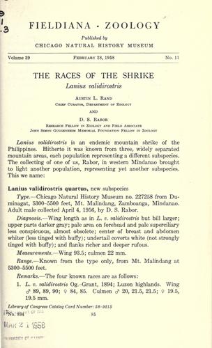 The races of the shrike, Lanius validirostris
