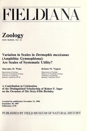 Variation in scales in Dermophis mexicanus (Amphibia, Gymnophiona)