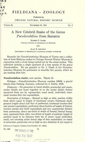 A new colubrid snake of the genus Pseudorabdion from Sumatra