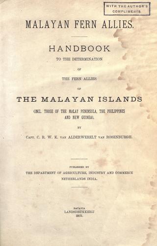 Malayan fern allies