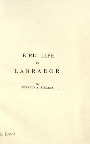 Bird life in Labrador