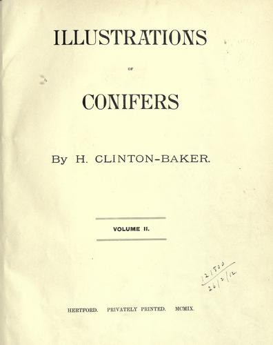 Illustrations of conifers