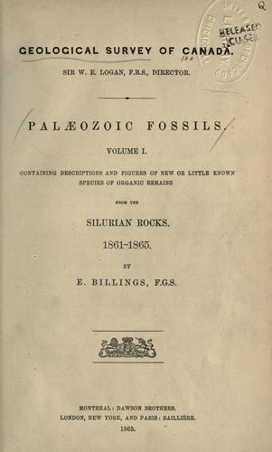 Paleozoic fossils