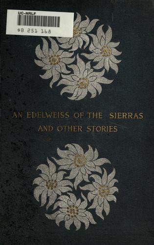 An edelweiss of the Sierras