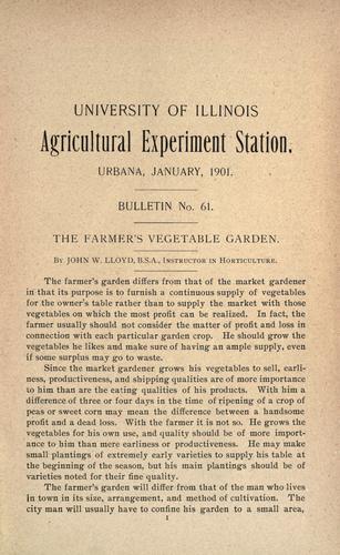 The farmer's vegetable garden