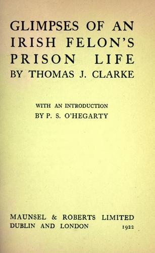 Glimpses of an Irish felon's prison life