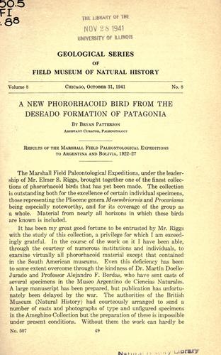 A new phororhacoid bird from the Deseado formation of Patagonia
