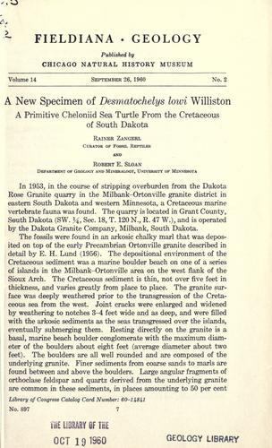 A new specimen of Desmatochelys lowi Williston