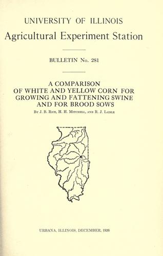 A comparison of white and yellow corn for growing and fattening swine and for brood sows