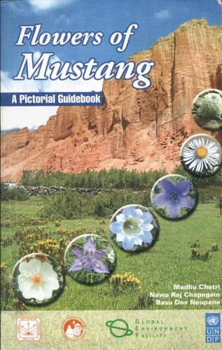 Flowers of Mustang