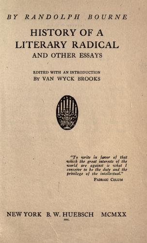 History of a literary radical and other essays