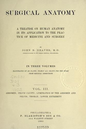 Surgical anatomy