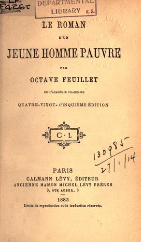 Le roman d'un jeune homme pauvre