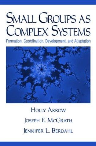 Small Groups as Complex Systems