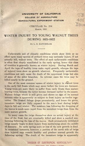 Winter injury to young walnut trees during 1921-1922