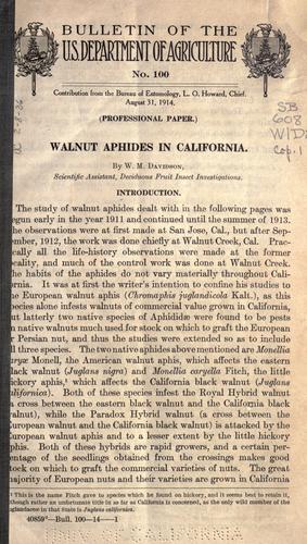 Walnut aphides in California