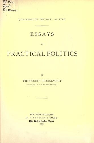 Essays on practical politics