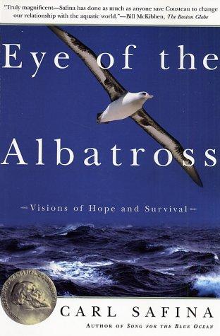 Eye of the albatross