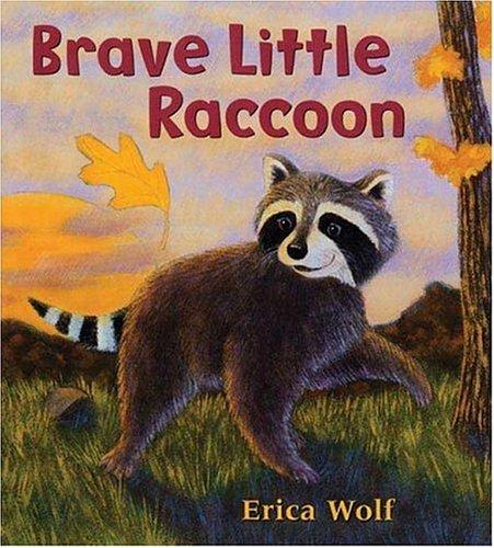 Brave little raccoon