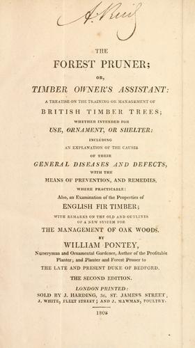 The forest pruner