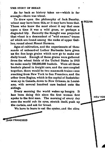 The story of bread