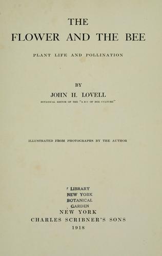 The flower and the bee