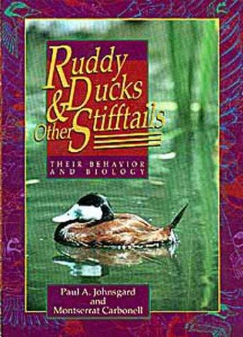 Ruddy ducks & other stifftails