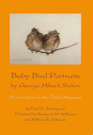Baby bird portraits